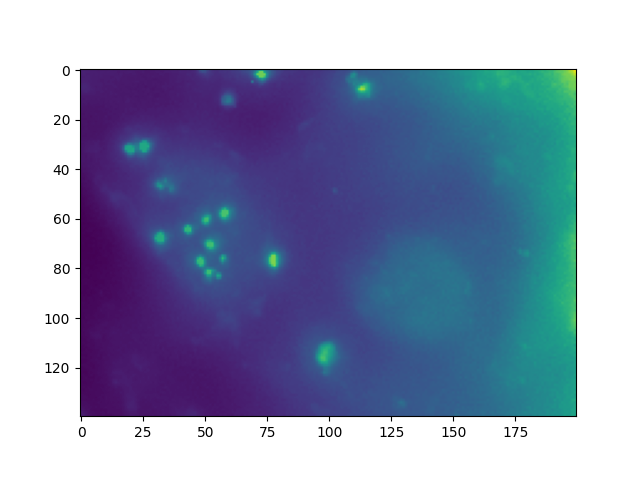 plot illumination correction